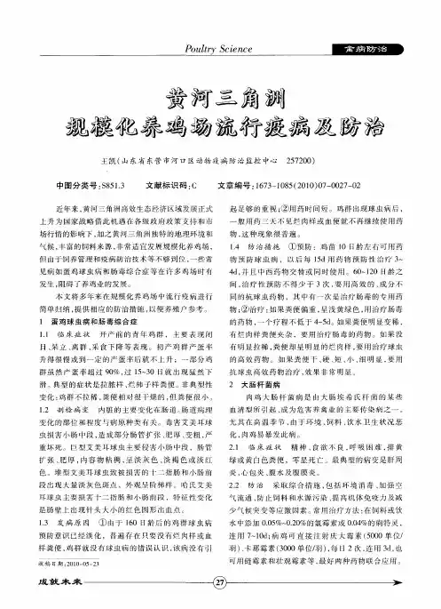 黄河三角洲规模化养鸡场流行疫病及防治