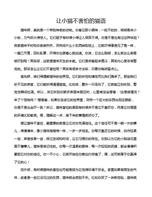 让小猫不害怕的猫语