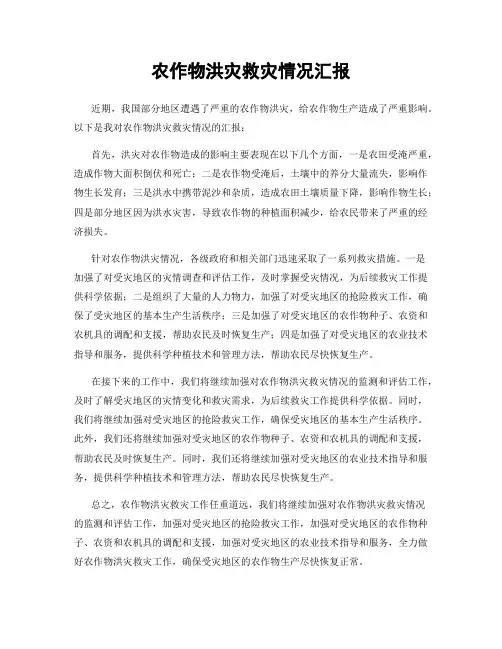 农作物洪灾救灾情况汇报