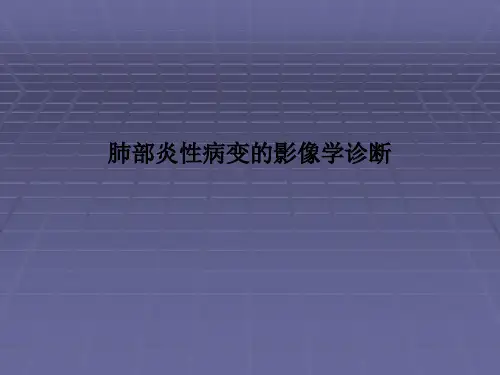 肺部炎性病变的影像学诊断