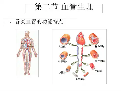 血压及其调节功能最新PPT课件