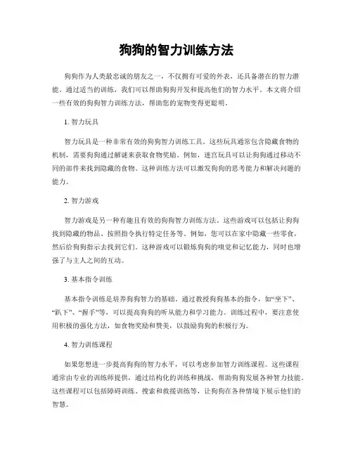狗狗的智力训练方法