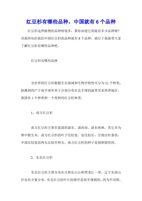 红豆杉有哪些品种,中国就有6个品种