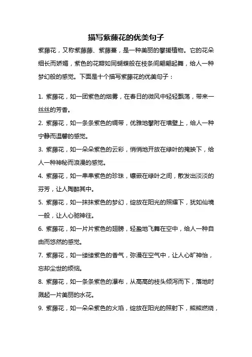 描写紫藤花的优美句子