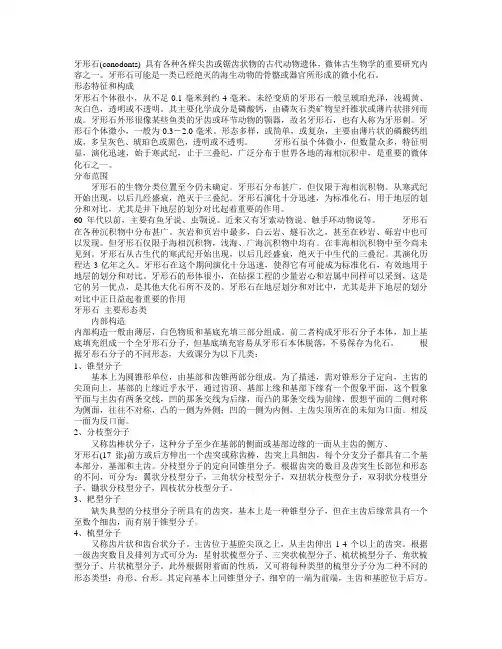 牙形石