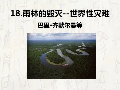 《雨林的毁灭世界性灾难》课件