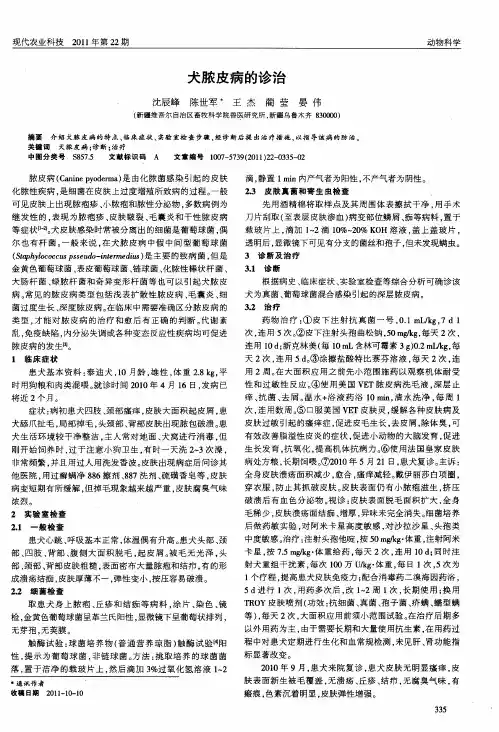 犬脓皮病的诊治