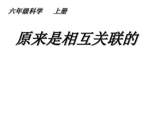 六年级上册科学课件-4.6 原来是相互关联的｜教科版 (共31张PPT)