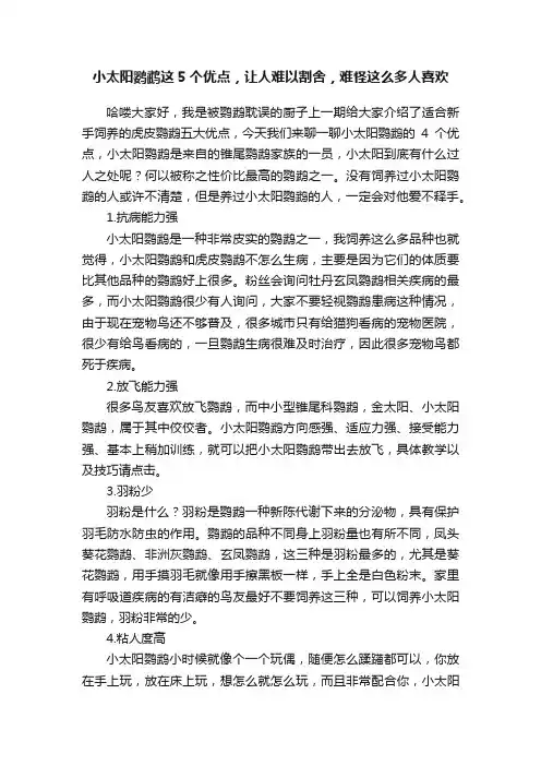 小太阳鹦鹉这5个优点，让人难以割舍，难怪这么多人喜欢