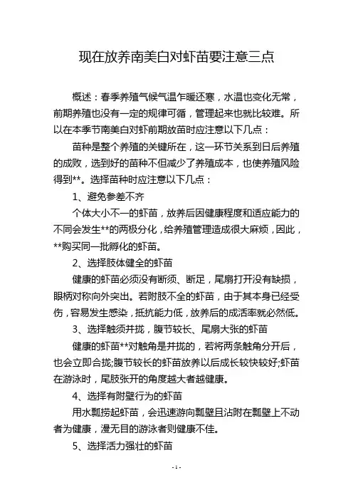 现在放养南美白对虾苗要注意三点