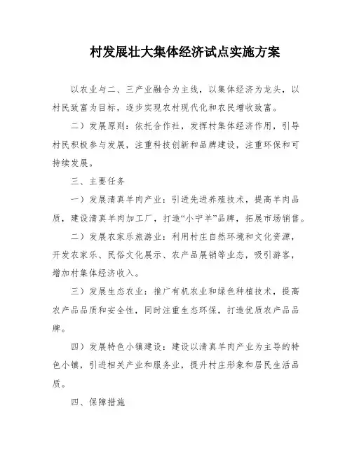 村发展壮大集体经济试点实施方案