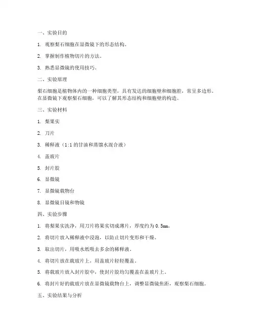 梨石细胞实验报告