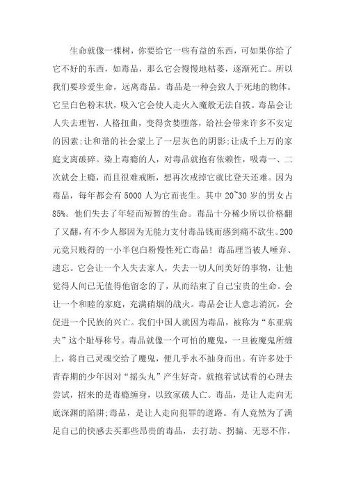 珍惜生命,远离毒品范文