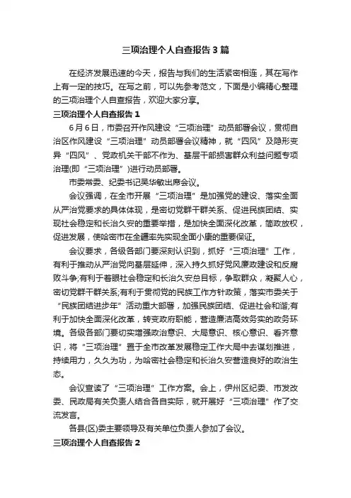 三项治理个人自查报告3篇
