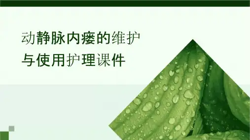 动静脉内瘘的维护与使用护理课件