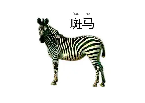 安全过马路图片