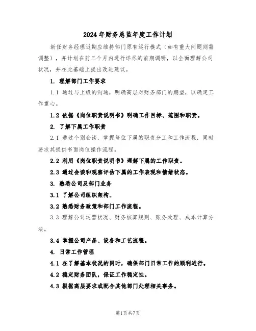 2024年财务总监年度工作计划（3篇）