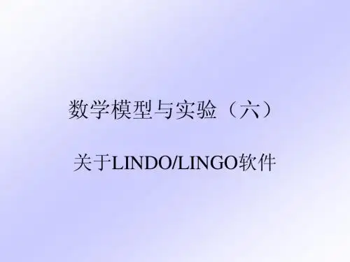 6优化Lingo