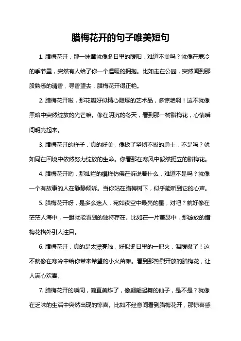 腊梅花开的句子唯美短句