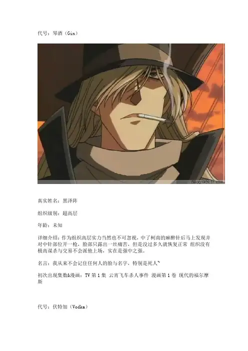 黑衣组织资料