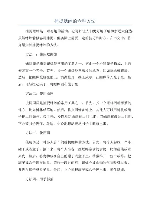 捕捉蟋蟀的六种方法