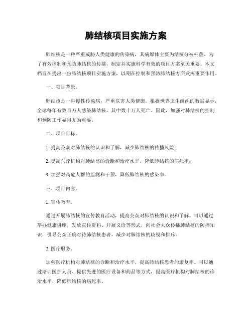 肺结核项目实施方案