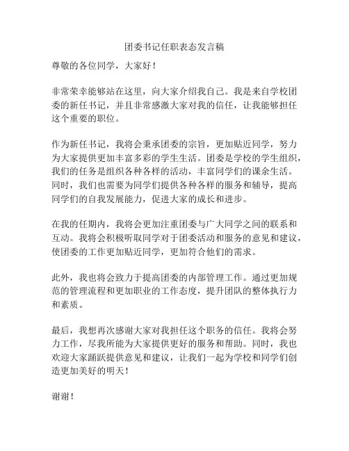 团委书记任职表态发言稿