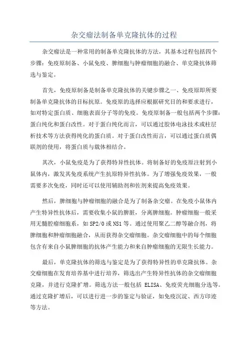 杂交瘤法制备单克隆抗体的过程