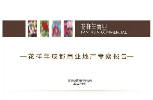 成都商业地产考察报告页