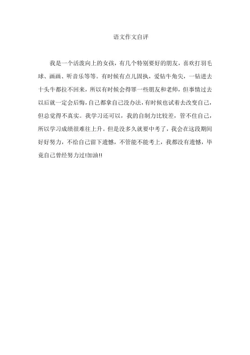 语文作文自评