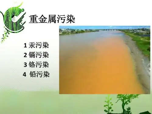 重金属污染