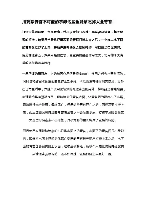 用药除青苔不可能的事养这些鱼能够吃掉大量青苔