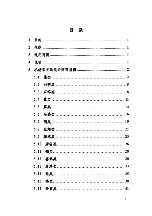 民用机场常见鸟类防范指南