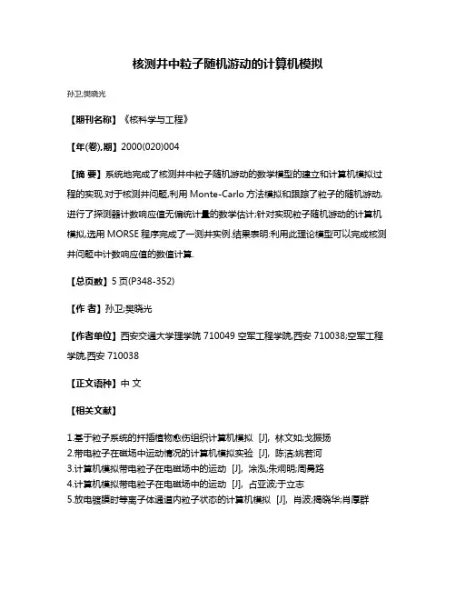 核测井中粒子随机游动的计算机模拟