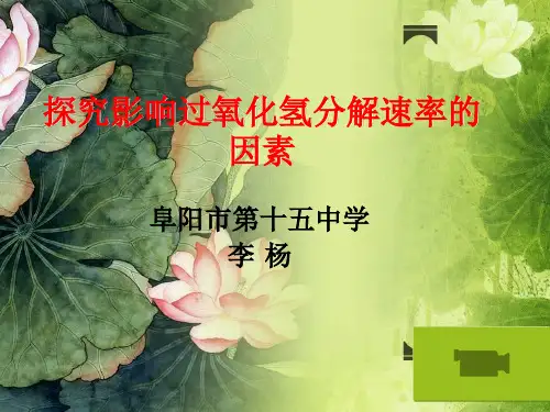 探究影响过氧化氢分解速率的因素