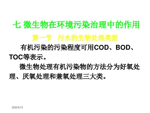 微生物在环境污染治理中的作用.ppt