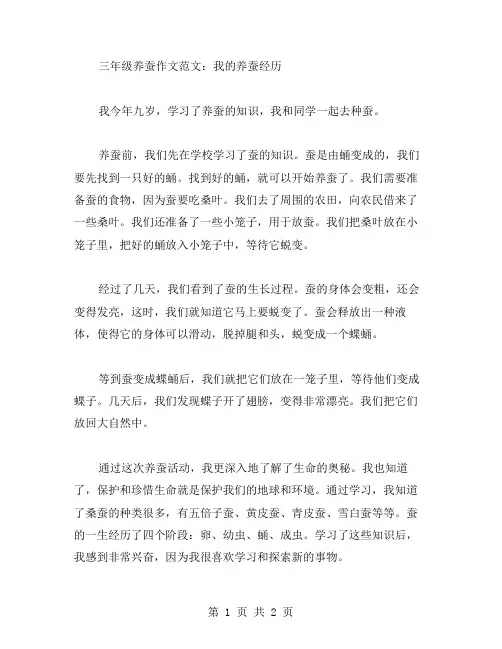 三年级养蚕作文范文