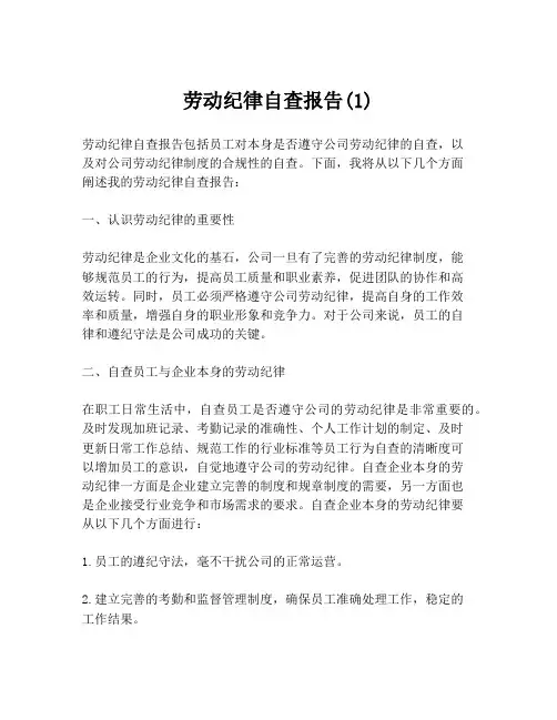 劳动纪律自查报告(1)