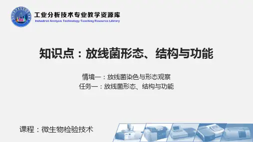 放线菌形态、结构与功能.ppt