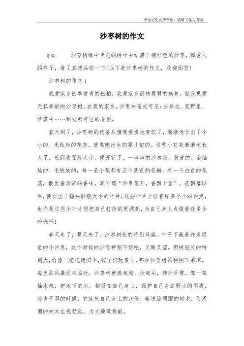 沙枣树的作文