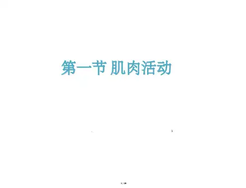 王步标运动生理学第一章肌肉与运动