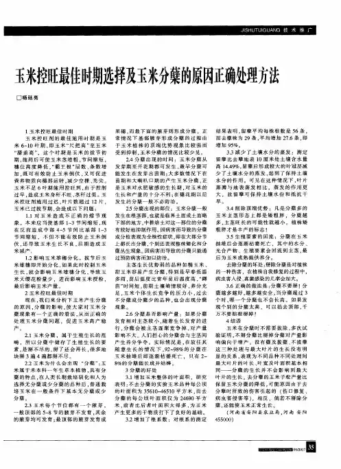玉米控旺最佳时期选择及玉米分蘖的原因正确处理方法