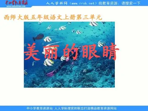 西师大版小学语文五年级上册《美丽的眼睛》课件