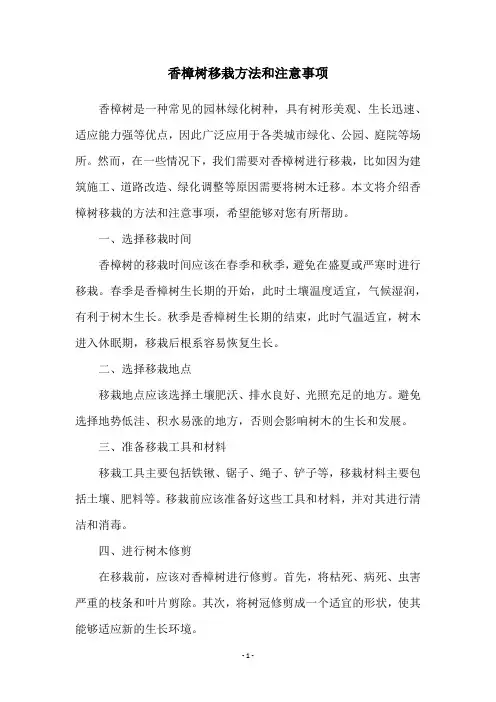 香樟树移栽方法和注意事项