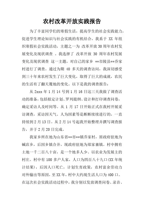 农村改革开放实践报告