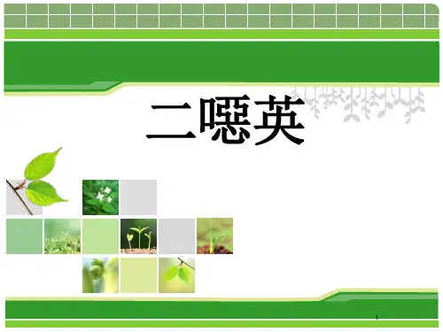 二恶英介绍(精装版)