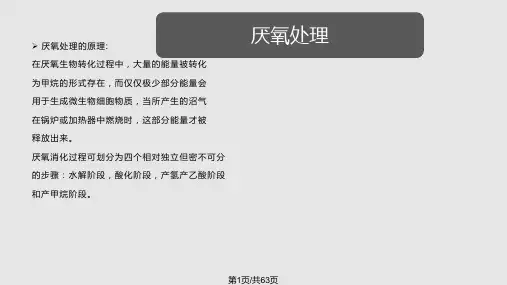 污水处理培训厌氧好氧PPT课件