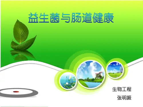 益生菌与肠道健康