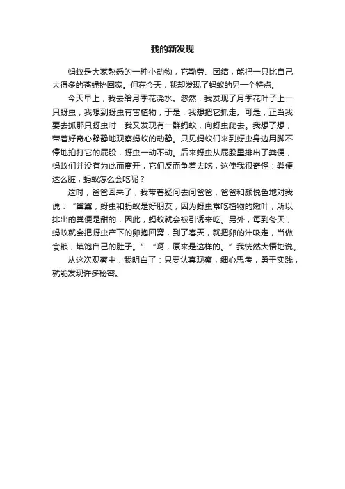 我的新发现
