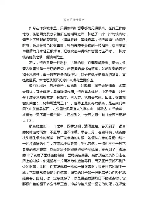 银杏的抒情散文